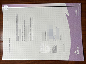 Fontys University of Applied Sciences diploma copy