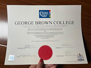 George Brown College diploma copy