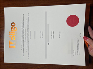 Institute of Technology Sligo diploma copy