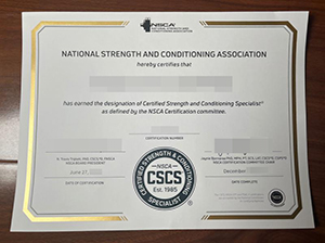 NSCA certificate copy