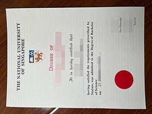 NUS graduate diploma copy