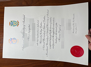 National University of Ireland diploma copy