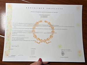 Sorbonne University diploma copy