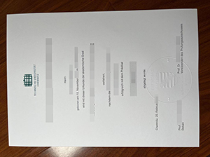 Technische Universität Chemnitz diploma copy