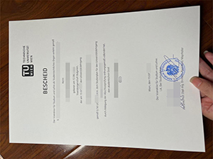 Technische Universität Wien diploma copy