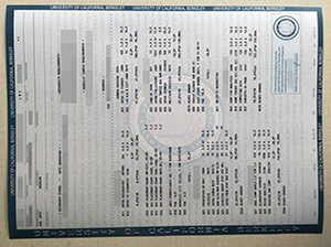 UC berkeley transcript copy