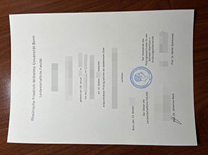 Universitat Bonn diploma copy