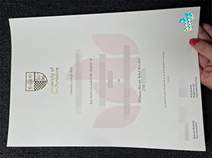 University of Bedfordshire diploma