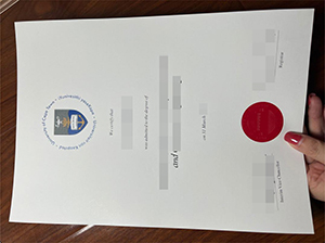 University of Cape Town diploma copy