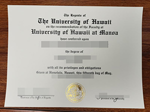 University of Hawaii online degree copy