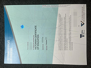 VCE Certificate copy