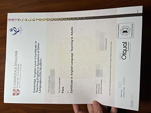 Cambridge CELTA Certificate copy