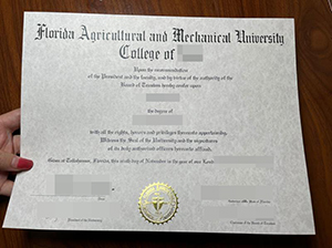 FAMU diploma copy