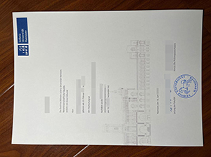 Leibniz Universitat Hannover diploma copy