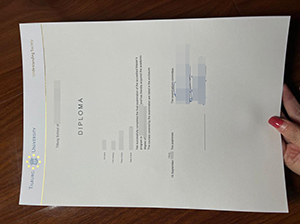 Tilburg University diploma copy