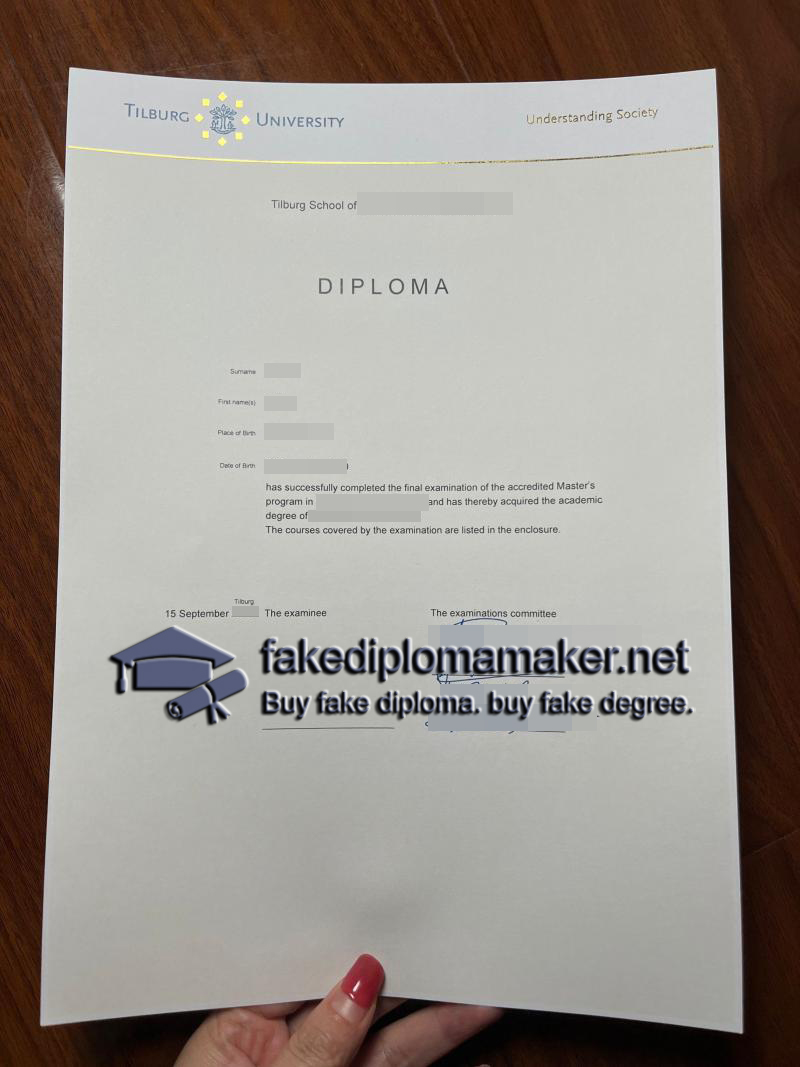 Tilburg University diploma