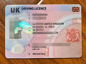 UK driving licence copy