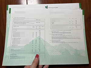 Universität St. Gallen transcript copy