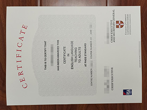 CELTA Certificate Copy