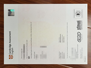 Cambridge Assessment English B1 Certificate Copy