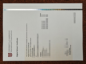 Cambridge Higher School Certificate Copy