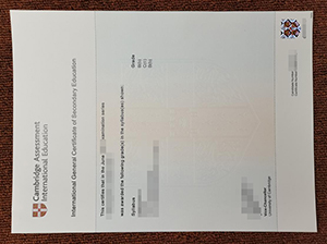 Cambridge IGCSE Certificate Copy