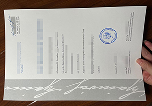 HHU diploma copy