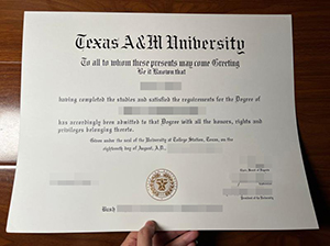 TAMU diploma copy