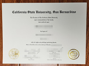 CSUSB diploma copy