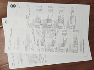 East Carolina University transcript copy