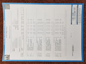 Irvine Valley College transcript copy