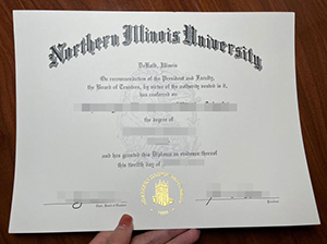 NIU diploma copy