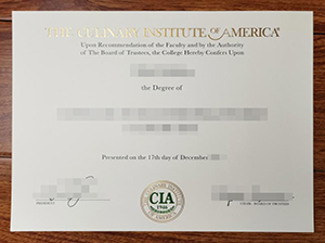 CIA diploma copy