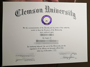 Clemson University diploma copy