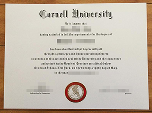 Cornell University diploma copy