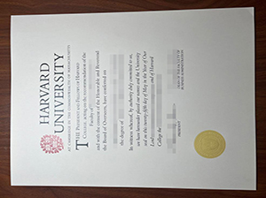 Harvard University diploma copy