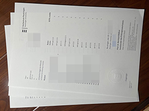 Hochschule Reutlingen transcript copy