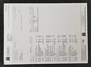 Langara College transcript copy