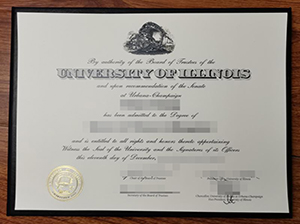 UIUC diploma copy