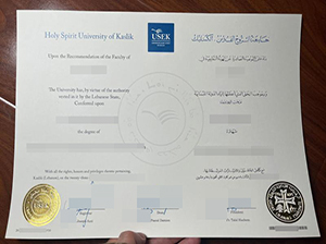 USEK diploma copy