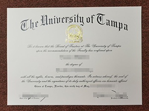 University of Tampa diploma copy