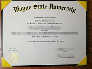 Wayne State University diploma copy