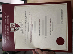 Cork Institute of Technology diploma copy