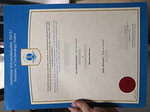 Institute of Technology Tralee diploma copy