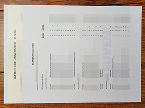 Katholieke Universiteit Leuven transcript copy