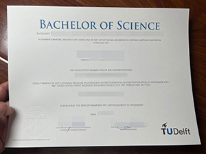 TU Delft degree copy