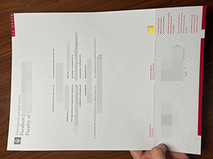 Universiteit van Amsterdam diploma copy