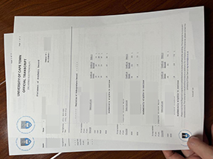 University of Cape Town transcript copy