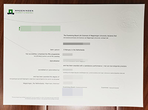 WUR diploma copy