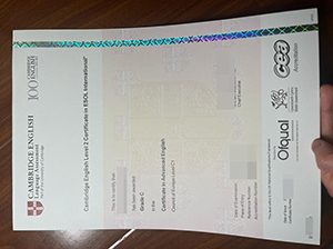 Cambridge English level 2 Certificate copy